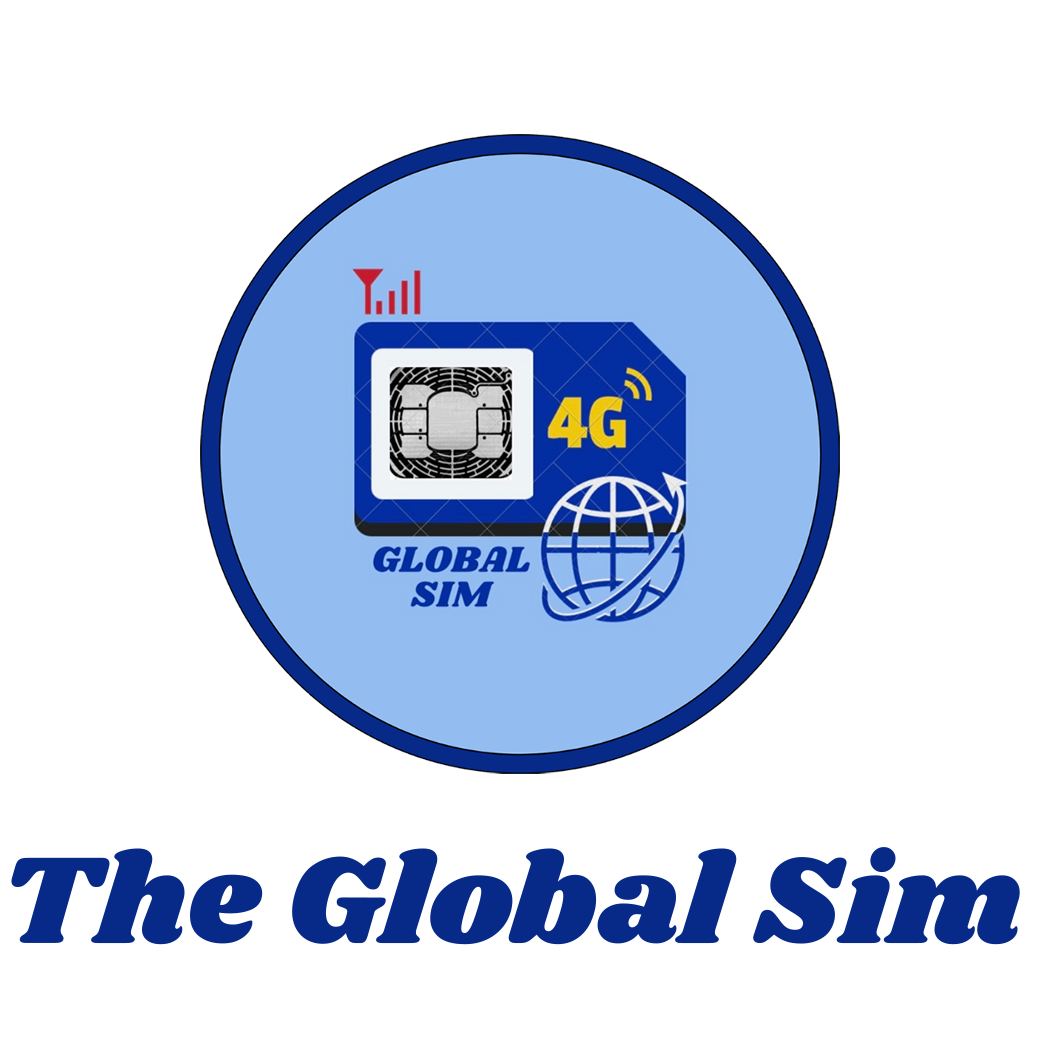 THE GLOBAL SIM